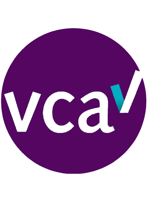 VCA 2017/6.0 certificering